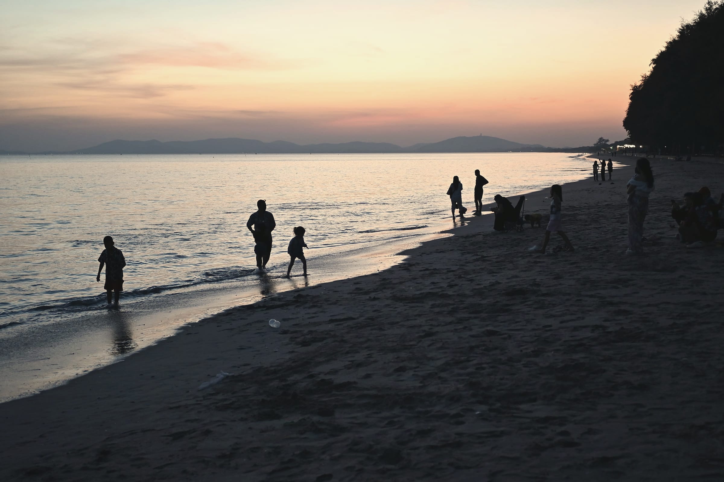 Families walk and play along a calm beach at dusk, silhouetted against a soft pink and blue sky.